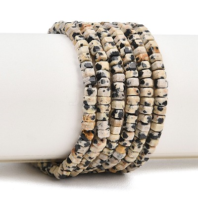 Natural Dalmatian Jasper Beads Strands G-G345-C14-2x4mm-1