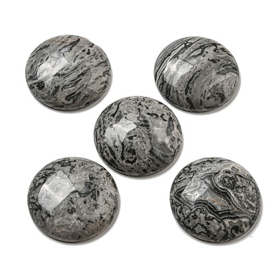 Natural Map Stone Cabochons G-C115-02B-20-1