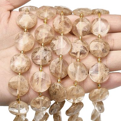 Coffee Watermelon Stone Glass Beads Strands G-A292-A04-01-1