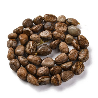 Natural Picture Jasper Beads Strands G-G146-A01-01-1