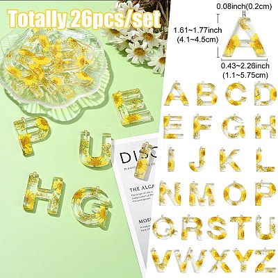 26Pcs 26 Styles Transparent Epoxy Resin Pendants CRES-YW0002-28L-1