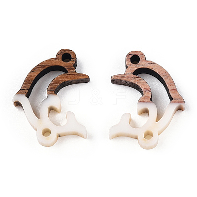 Opaque Resin & Walnut Wood Connector Charms RESI-N039-46H-1