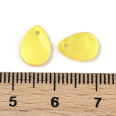 Spray Painted Natural Freshwater Shell Teardrop Charms SHEL-K006-47C-1