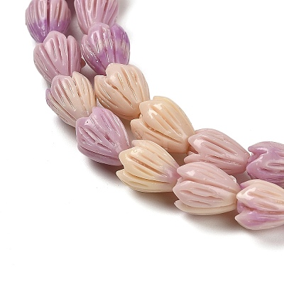 Synthetic Shell Dyed Carved Beads Strands SHEL-K007-08A-01-1