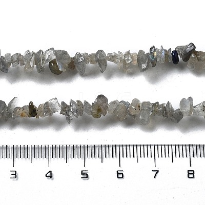 Natural Supper 7 Rutilated Quartz Chip Beaded Necklaces for Men Women NJEW-G159-01W-1
