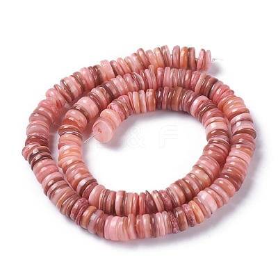Natural Freshwater Shell Beads Strands X-BSHE-I016-04E-1