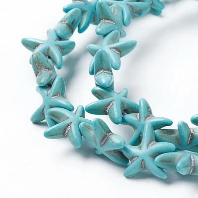 Synthetic Turquoise Beads Strands TURQ-L029-03A-1