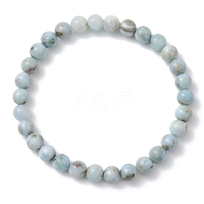 Natural Larimar Round Beads Stretch Bracelets for Women Men BJEW-JB13382-02-1