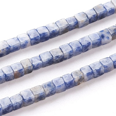 Natural Blue Spot Jasper Beads Strands G-F631-K06-1