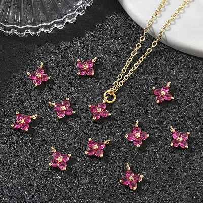 SHEGRACE Brass Cubic Zirconia Charms XGRQ4H893-680G-C-1