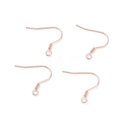 304 Stainless Steel Earring Hooks X-STAS-P221-04RG-1