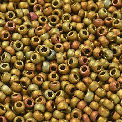 TOHO 6/0 Round Beads X-SEED-TR06-0513F-1