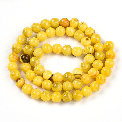 Natural Persian Jade Beads Strands G-A255-A02-01I-1