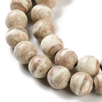 Natural Rainbow Alashan Agate Beads Strands G-NH0022-A10-02-1