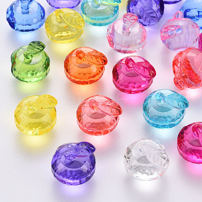 Transparent Acrylic Pendants TACR-T024-05B-1