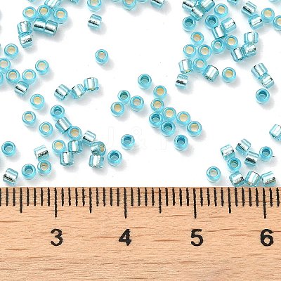 Glass Seed Beads SEED-S042-04B-23-1