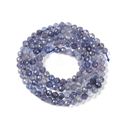 Natural Iolite Beads Strands LS-G-N342-32-1