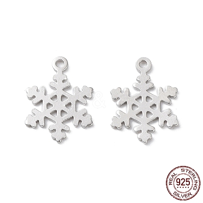 Rhodium Plated 925 Sterling Silver Charms STER-C003-19P-1