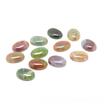 Natural Indian Agate Gemstone Cabochons G-T020-8x10mm-27-1