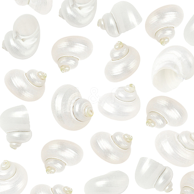 20Pcs Natural Spiral Shell Beads SSHEL-SC0001-56-1