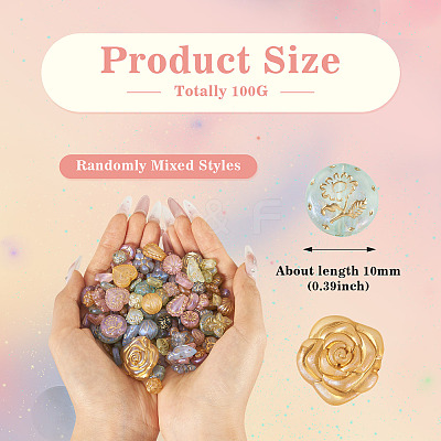 100G Transparent Acrylic Beads OACR-BT0001-05F-1