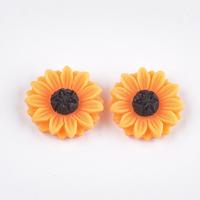 Resin Cabochons CRES-T010-60B-1