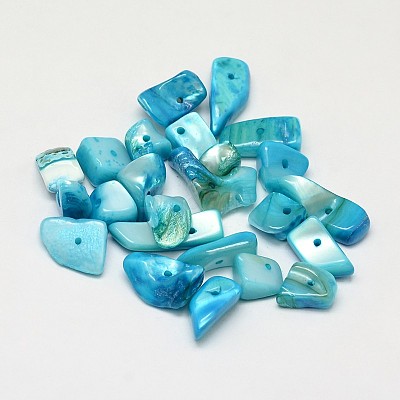 Dyed Natural Freshwater Shell Nuggets Chips Beads SHEL-O001-13C-1