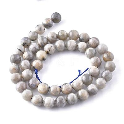 Natural Labradorite Beads Strands X-G-G212-8mm-23-1