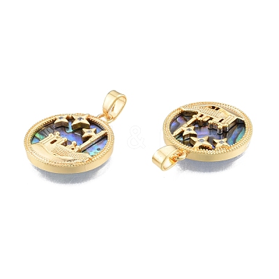 Synthetic Abalone Shell/Paua Shell Pendants KK-A165-12G-1