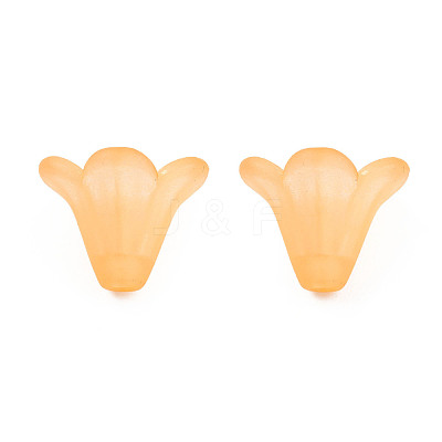 Frosted Acrylic Beads X-PL692-15-1