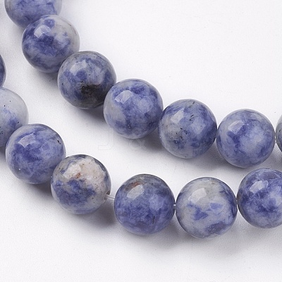 Natural Blue Spot Jasper Bead Strands X-G-R193-15-8mm-1