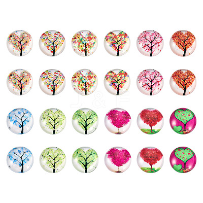 24Pcs 12 Style Glass Cabochon GLAA-TA0001-71-1