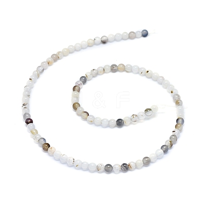 Natural Dendritic Agate Beads Strands G-D0005-18-4mm-1