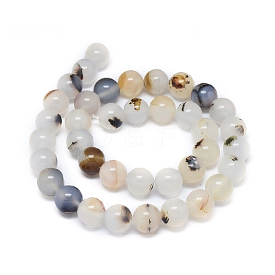 Natural Dendritic Agate Beads Strands G-D0005-18-10mm-1