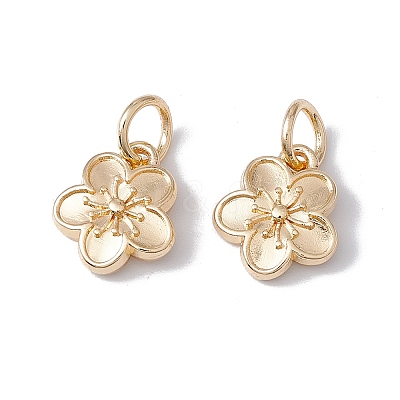 Rack Plating Alloy Charms LS-FIND-G036-02LG-1