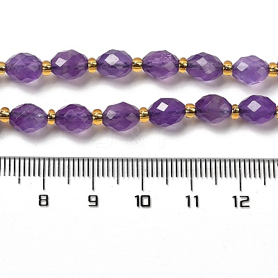 Natural Amethyst Beads Strands G-H297-C09-01-1