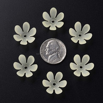 Transparent Acrylic Beads MACR-S373-47-D03-1