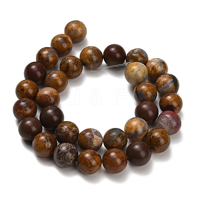 Natural Wealth Stone Beads Strands G-C289-B01-12mm-1