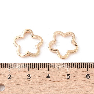CCB Plastic Bead Frames CCB-N006-50G-1
