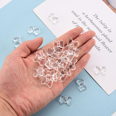 Transparent Acrylic Pendants TACR-T024-02BA-205-1