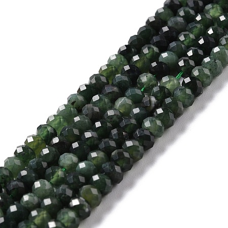 Natural Canada Jade Beads Strands LS-G-K312-10B-1