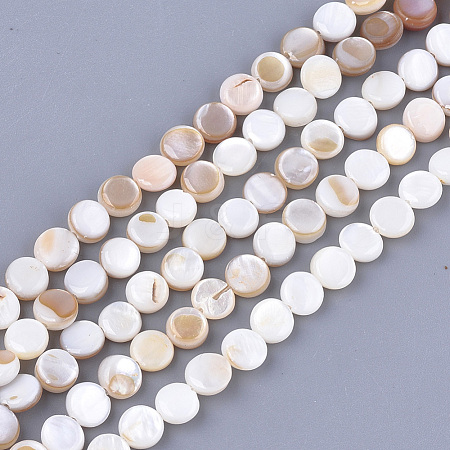 Freshwater Shell Beads Strands X-SHEL-S276-15A-1