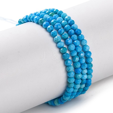 Natural Howlite Beads Strands G-C025-02A-05-1