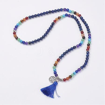 Natural Gemstone Beads Necklaces NJEW-F147-B01-1