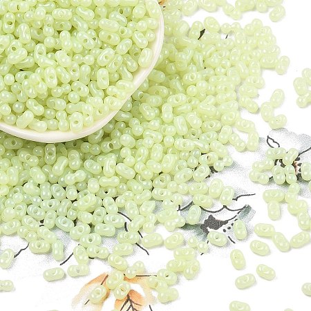 Baking Paint Glass Seed Beads SEED-L011-09A-21-1