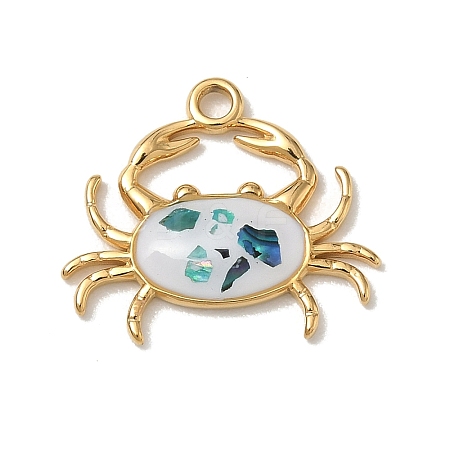 304 Stainless Steel & Natural Shell & Enamel Pendants SA-CBACF51-02G-1