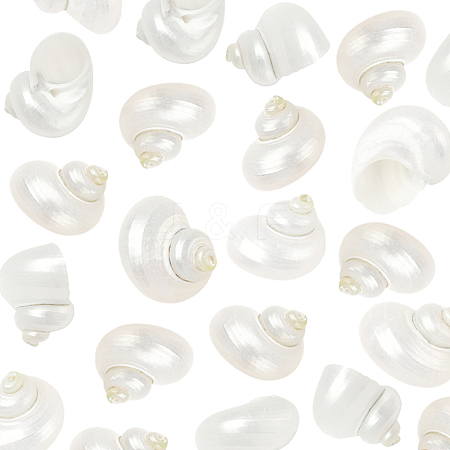 20Pcs Natural Spiral Shell Beads SSHEL-SC0001-56-1
