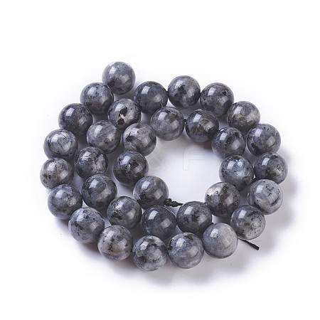 Natural Labradorite Beads Strands G-P428-09A-12mm-1