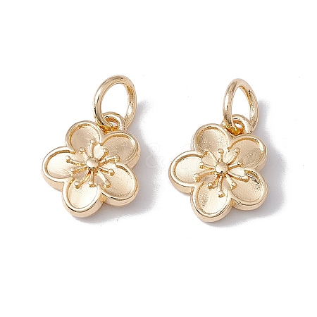 Rack Plating Alloy Charms LS-FIND-G036-02LG-1