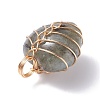 Natural Labradorite Pendants PALLOY-JF01282-03-4